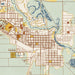 Alamosa Colorado Map Print in Woodblock Style Zoomed In Close Up Showing Details