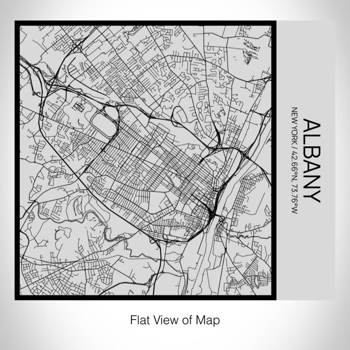Rendered View of Albany New York Map on 17oz Stainless Steel Insulated Tumbler in Tactile Lines with Succulent in Background