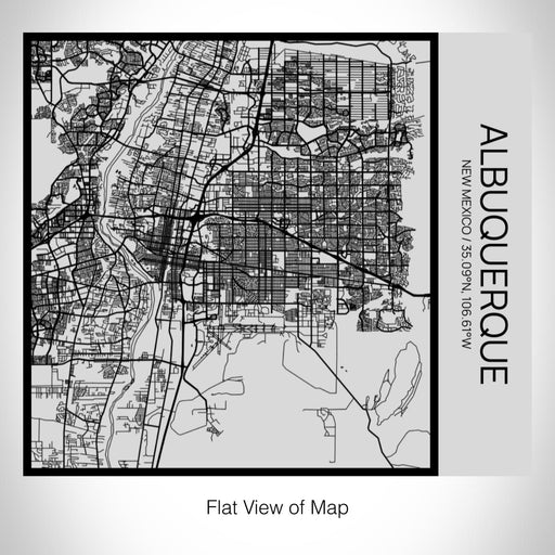 Rendered View of Albuquerque New Mexico Map on 17oz Stainless Steel Insulated Tumbler in Tactile Lines with Succulent in Background