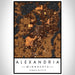 Alexandria Minnesota Map Print Portrait Orientation in Ember Style With Shaded Background