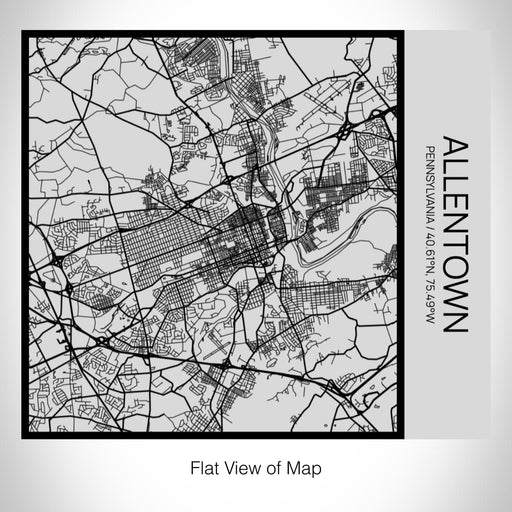 Rendered View of Allentown Pennsylvania Map on 17oz Stainless Steel Insulated Tumbler in Tactile Lines with Succulent in Background