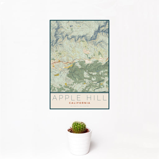 12x18 Apple Hill California Map Print Portrait Orientation in Woodblock Style With Small Cactus Plant in White Planter