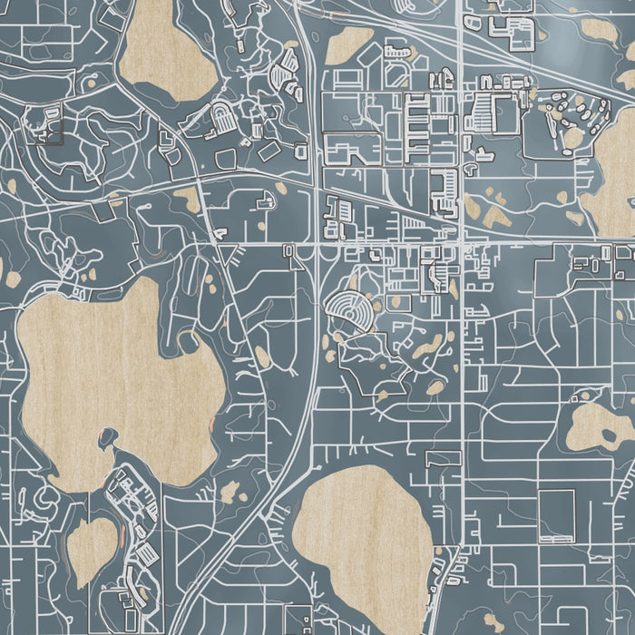 Arden Hills Minnesota Map Print in Afternoon Style Zoomed In Close Up Showing Details