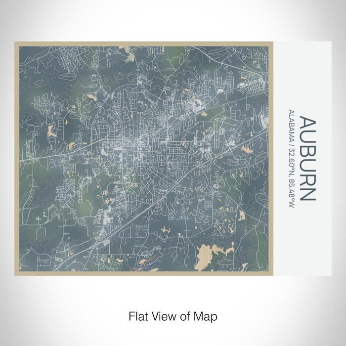 Rendered View of Auburn Alabama Map on 20oz Stainless Steel Insulated Bottle with Bamboo Top with printed afternoon style map