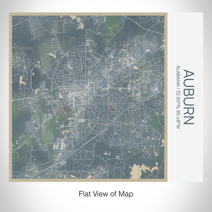 Rendered View of Auburn Alabama Map on 17oz Stainless Steel Insulated Tumbler in Afternoon Map Style