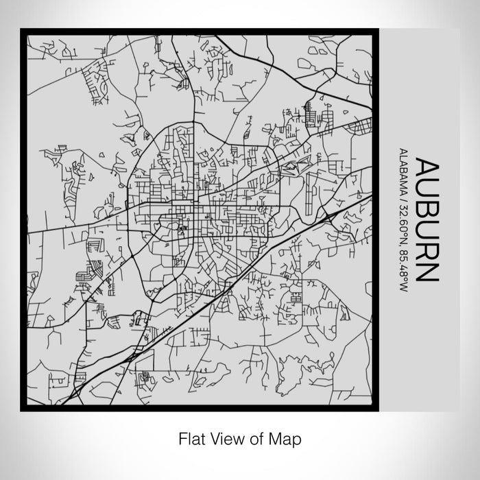 Rendered View of Auburn Alabama Map on 17oz Stainless Steel Insulated Tumbler in Tactile Lines with Succulent in Background