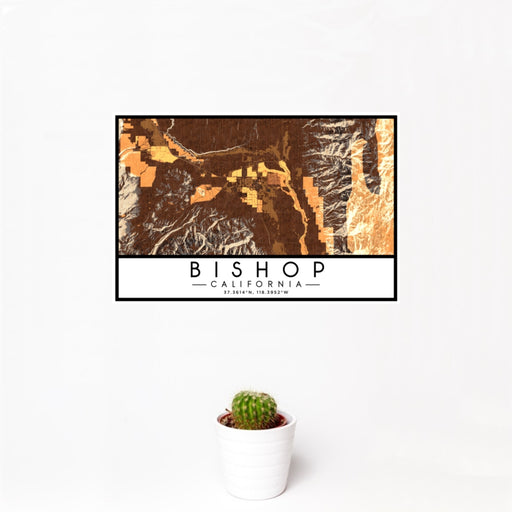 12x18 Bishop California Map Print Landscape Orientation in Ember Style With Small Cactus Plant in White Planter
