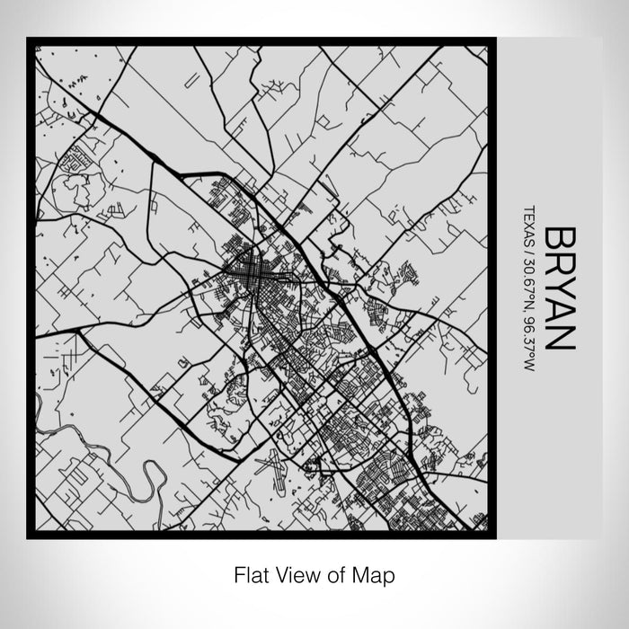 Rendered View of Bryan Texas Map on 17oz Stainless Steel Insulated Tumbler in Tactile Lines with Succulent in Background