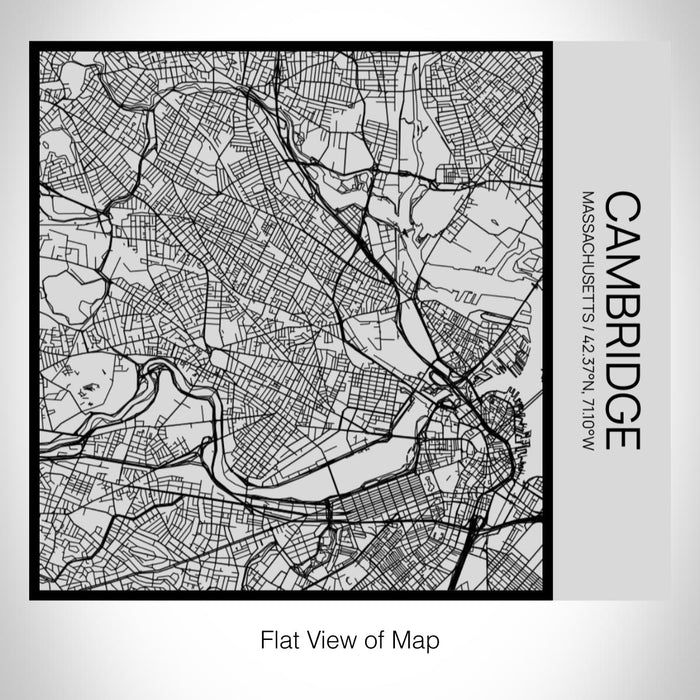 Rendered View of Cambridge Massachusetts Map on 17oz Stainless Steel Insulated Tumbler in Tactile Lines with Succulent in Background