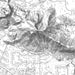 Camelback Mountain Arizona Map Print in Classic Style Zoomed In Close Up Showing Details