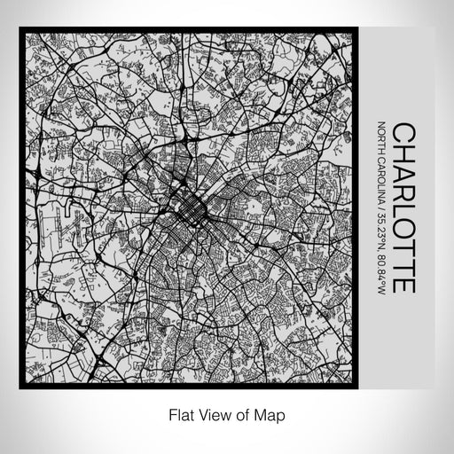 Rendered View of Charlotte North Carolina Map on 17oz Stainless Steel Insulated Tumbler in Tactile Lines with Succulent in Background