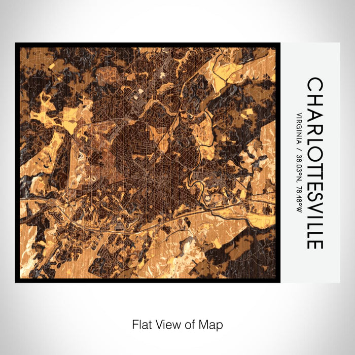 Rendered View of Charlottesville Virginia Map on 20oz Stainless Steel Insulated Bottle with Bamboo Top with printed ember style map