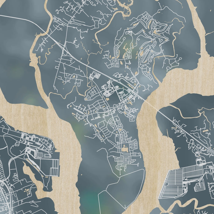 Daniel Island South Carolina Map Print in Afternoon Style Zoomed In Close Up Showing Details