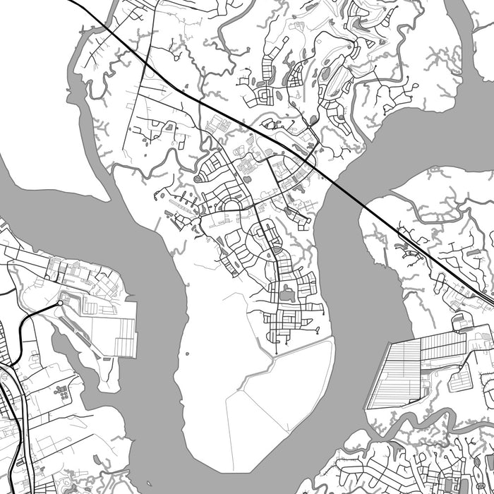 Daniel Island South Carolina Map Print in Classic Style Zoomed In Close Up Showing Details