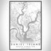 Daniel Island South Carolina Map Print Portrait Orientation in Classic Style With Shaded Background
