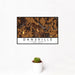 12x18 Dansville New York Map Print Landscape Orientation in Ember Style With Small Cactus Plant in White Planter