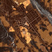 Dansville New York Map Print in Ember Style Zoomed In Close Up Showing Details