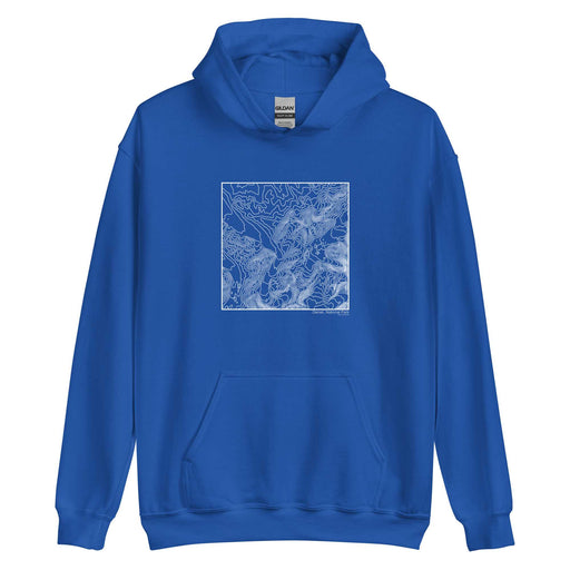 Denali National Park Topographic  Map Unisex Hoodie Sweater with City inscription in Royal Blue