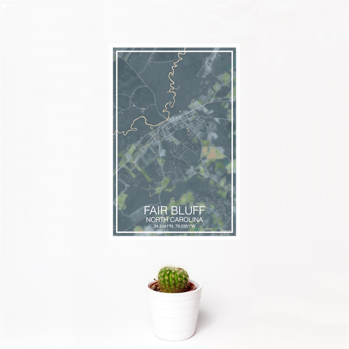 12x18 Fair Bluff North Carolina Map Print Portrait Orientation in Afternoon Style With Small Cactus Plant in White Planter