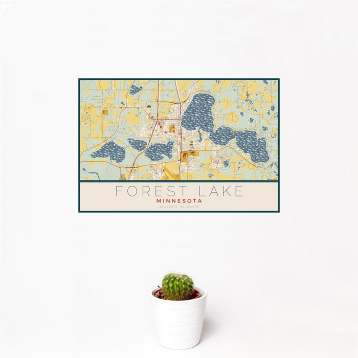 12x18 Forest Lake Minnesota Map Print Landscape Orientation in Woodblock Style With Small Cactus Plant in White Planter