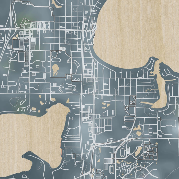 Forest Lake Minnesota Map Print in Afternoon Style Zoomed In Close Up Showing Details