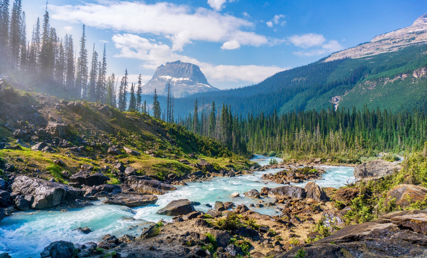 National Park with River Trees and Mountain Range in Background