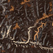 Hocking Hills Ohio Map Print in Ember Style Zoomed In Close Up Showing Details