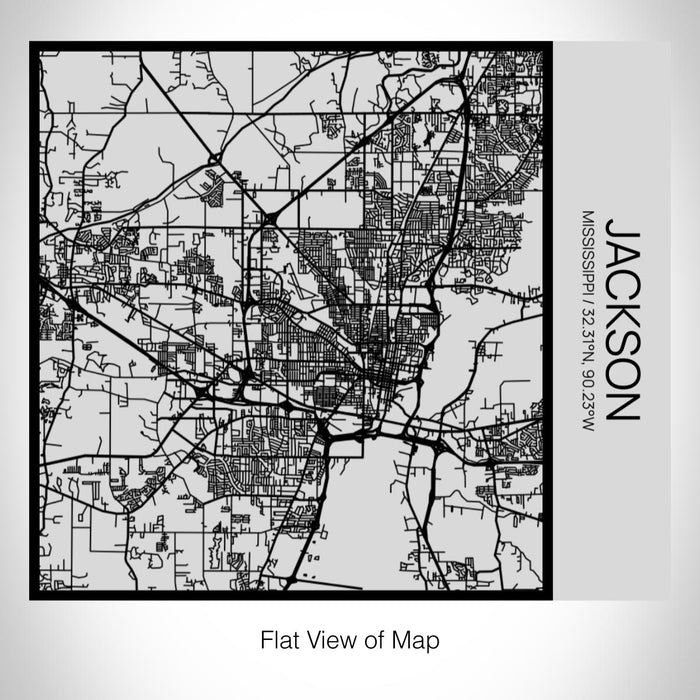 Rendered View of Jackson Mississippi Map on 17oz Stainless Steel Insulated Tumbler in Tactile Lines with Succulent in Background