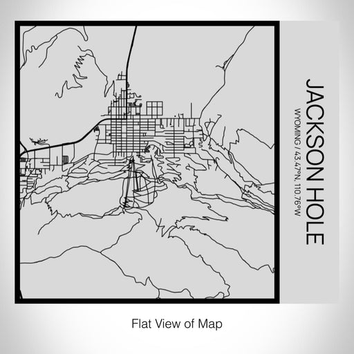 Rendered View of Jackson Hole Wyoming Map on 17oz Stainless Steel Insulated Tumbler in Tactile Lines with Succulent in Background