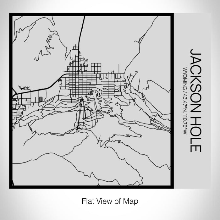 Rendered View of Jackson Hole Wyoming Map on 17oz Stainless Steel Insulated Tumbler in Tactile Lines with Succulent in Background
