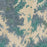 Lake Martin Alabama Map Print in Afternoon Style Zoomed In Close Up Showing Details