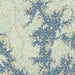 Lake Martin Alabama Map Print in Woodblock Style Zoomed In Close Up Showing Details