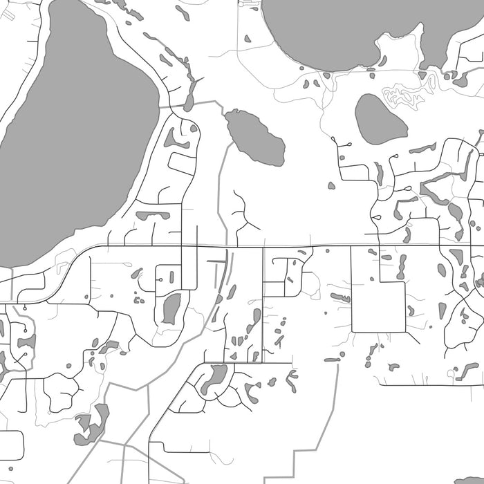 Lino Lakes Minnesota Map Print in Classic Style Zoomed In Close Up Showing Details