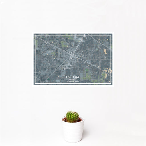 12x18 Live Oak Florida Map Print Landscape Orientation in Afternoon Style With Small Cactus Plant in White Planter