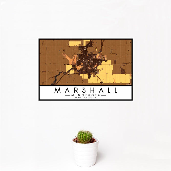 12x18 Marshall Minnesota Map Print Landscape Orientation in Ember Style With Small Cactus Plant in White Planter