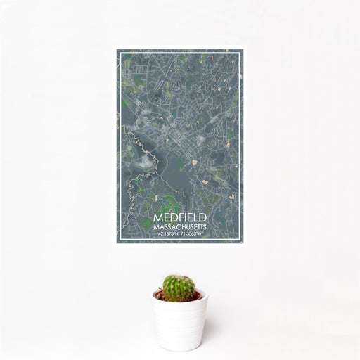 12x18 Medfield Massachusetts Map Print Portrait Orientation in Afternoon Style With Small Cactus Plant in White Planter