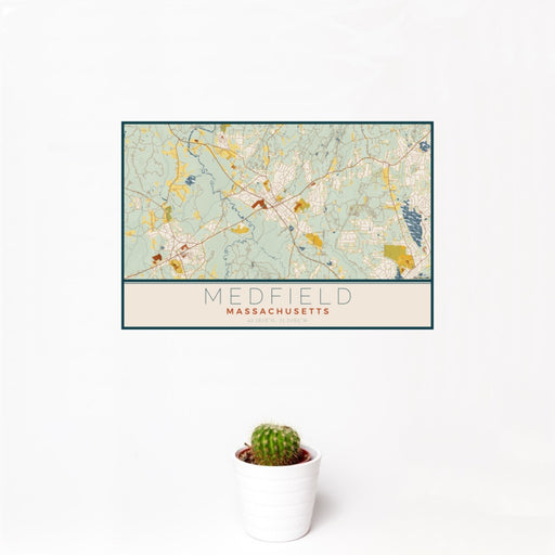 12x18 Medfield Massachusetts Map Print Landscape Orientation in Woodblock Style With Small Cactus Plant in White Planter