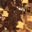 Middlebury Indiana Map Print in Ember Style Zoomed In Close Up Showing Details