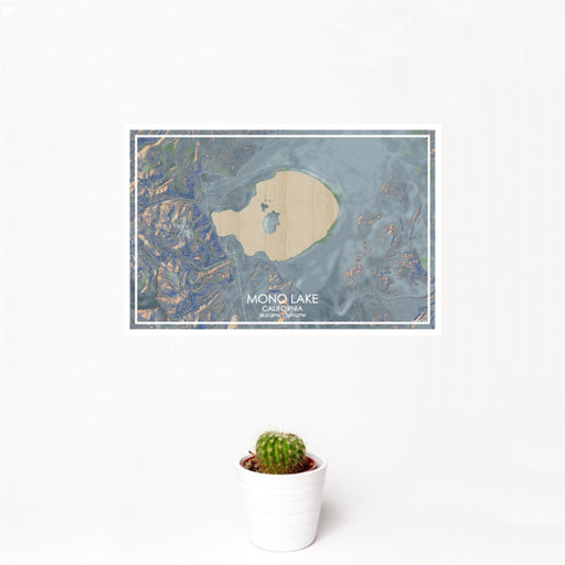 12x18 Mono Lake California Map Print Landscape Orientation in Afternoon Style With Small Cactus Plant in White Planter