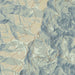 Mount Mitchell North Carolina Map Print in Woodblock Style Zoomed In Close Up Showing Details