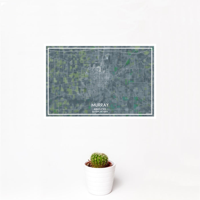 12x18 Murray Kentucky Map Print Landscape Orientation in Afternoon Style With Small Cactus Plant in White Planter