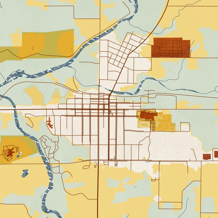 Neillsville Wisconsin Map Print in Woodblock Style Zoomed In Close Up Showing Details