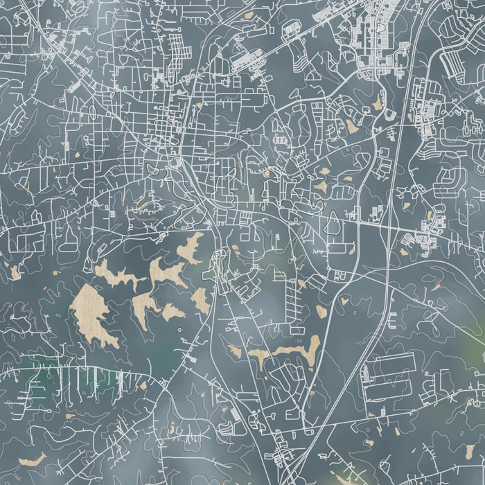 Newnan Georgia Map Print in Afternoon Style Zoomed In Close Up Showing Details