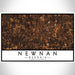 Newnan Georgia Map Print Landscape Orientation in Ember Style With Shaded Background