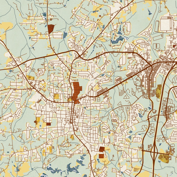 Newnan Georgia Map Print in Woodblock Style Zoomed In Close Up Showing Details