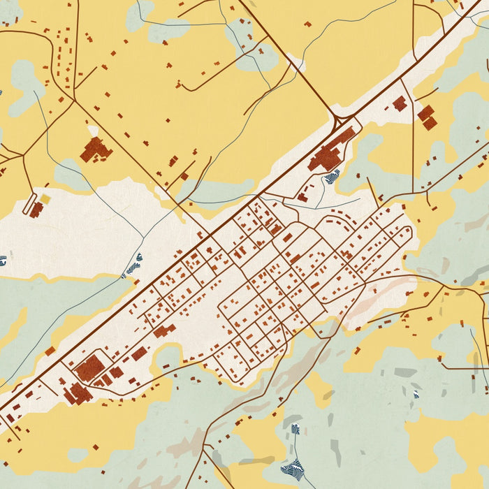 Niota Tennessee Map Print in Woodblock Style Zoomed In Close Up Showing Details