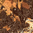 Oak Hill West Virginia Map Print in Ember Style Zoomed In Close Up Showing Details
