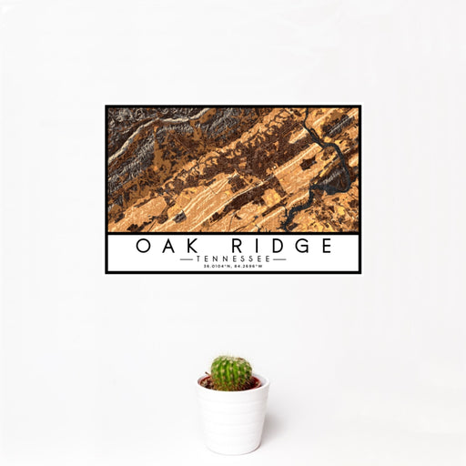 12x18 Oak Ridge Tennessee Map Print Landscape Orientation in Ember Style With Small Cactus Plant in White Planter