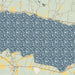 Oneida Lake New York Map Print in Woodblock Style Zoomed In Close Up Showing Details