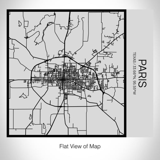 Rendered View of Paris Texas Map on 17oz Stainless Steel Insulated Tumbler in Tactile Lines with Succulent in Background